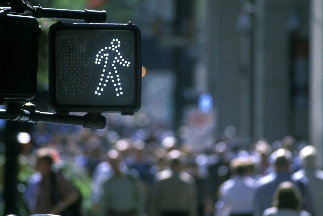 Walk sign, Crowds, Fifth Avenue, Midtown, Manhattan, New York, USA