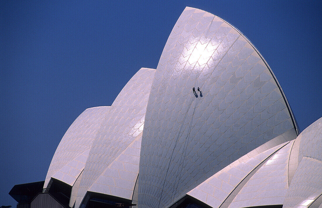 Zwei Arbeiter inspizieren die Schindlen des Daches vom Opernhaus, Sydney, New South Wales, Australien