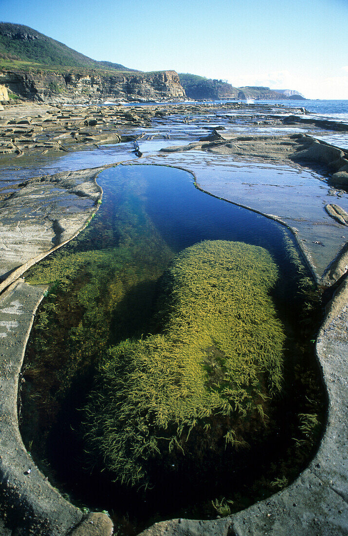 Tidal pools along the coast near Burning Palms, Royal National Park, New South Wales, Australia