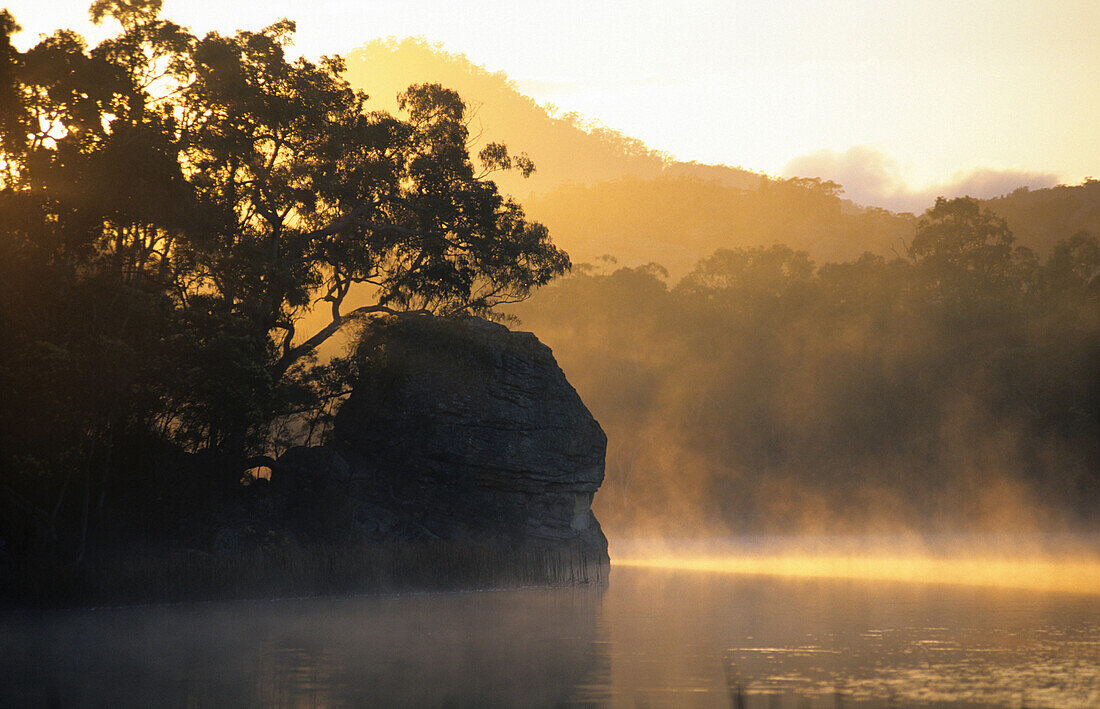 Morgenstimmung am Dunns Swamp, Wollemi National Park, New South Wales, Australien