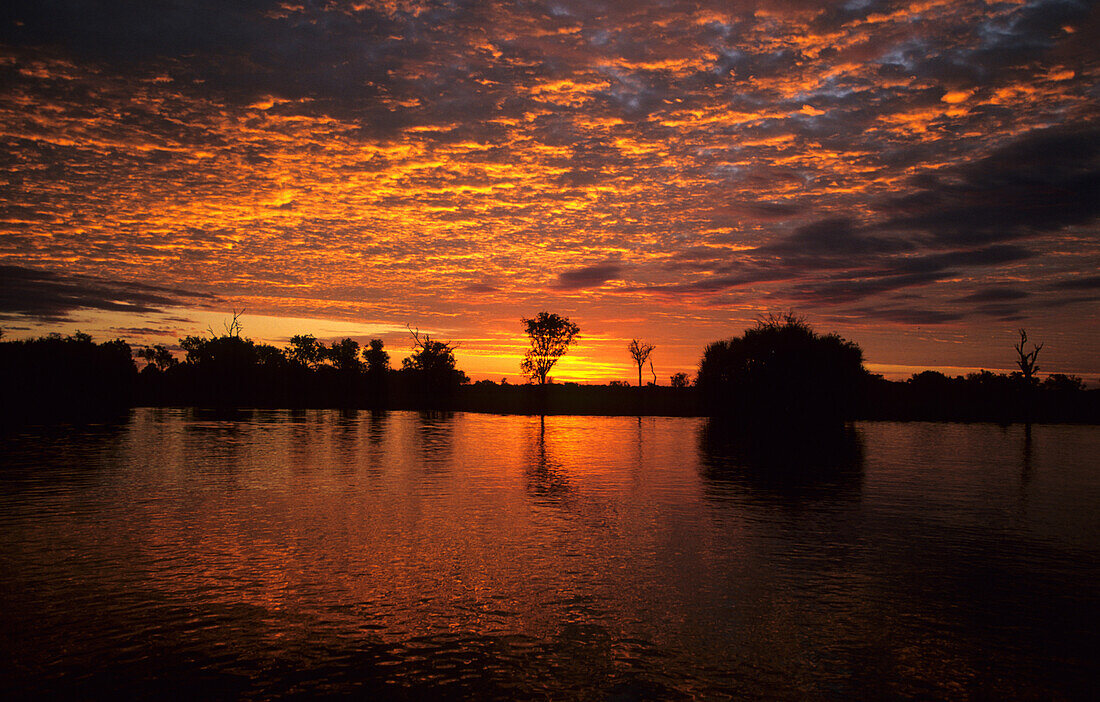 Tropical sunset in the wetlands of Yellow Water, Kakadu National Park, Northern Territory, Australia