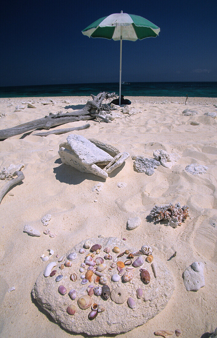 Sandy beach on Wilson Island, neighboring island to Heron Island, Wilson Island, Great Barrier Reef, Australia