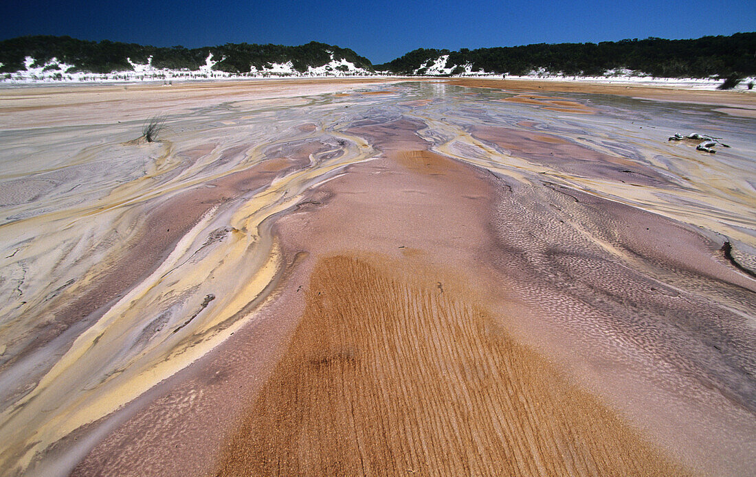 Gerbsäure gefärbtes Wasser fliesst in den Lake Boomanjin, Fraser Island, Great Barrier Reef, Australia
