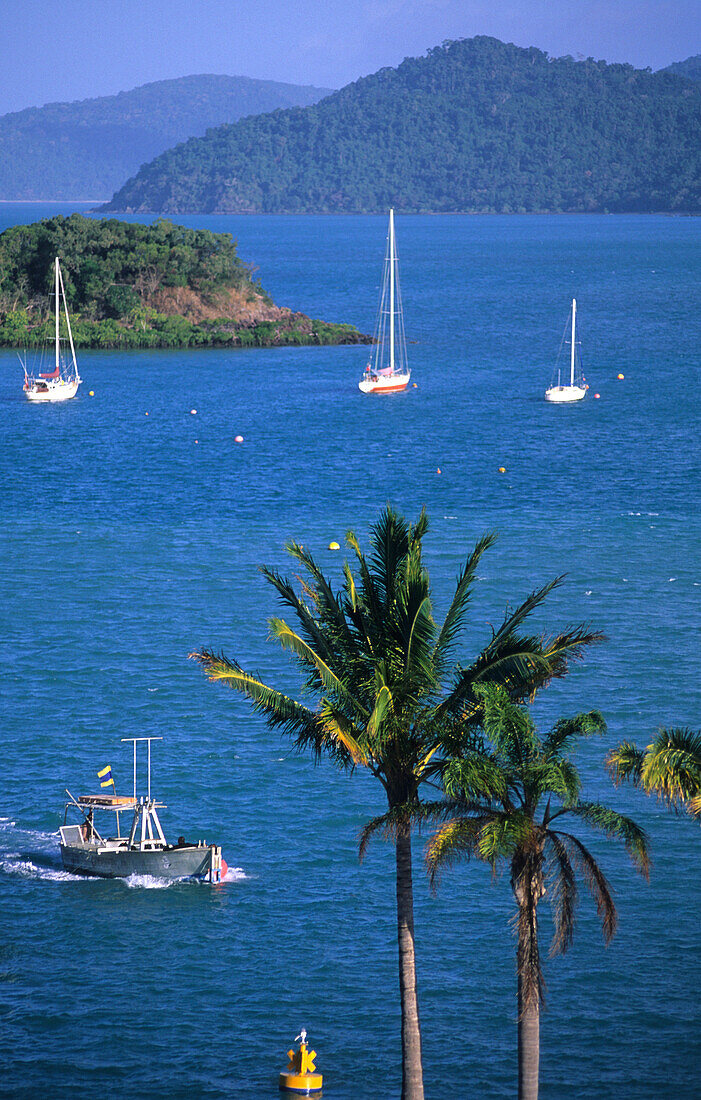 Shute Harbour is the gateway to the Whitsunday Islands, Great Barrier Reef, Australia