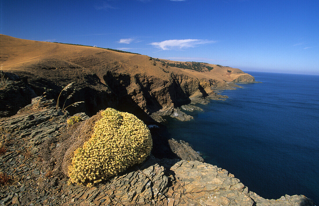 Die Nordküste nahe Cape Cassini, Kangaroo Island, Südaustralien, Australien