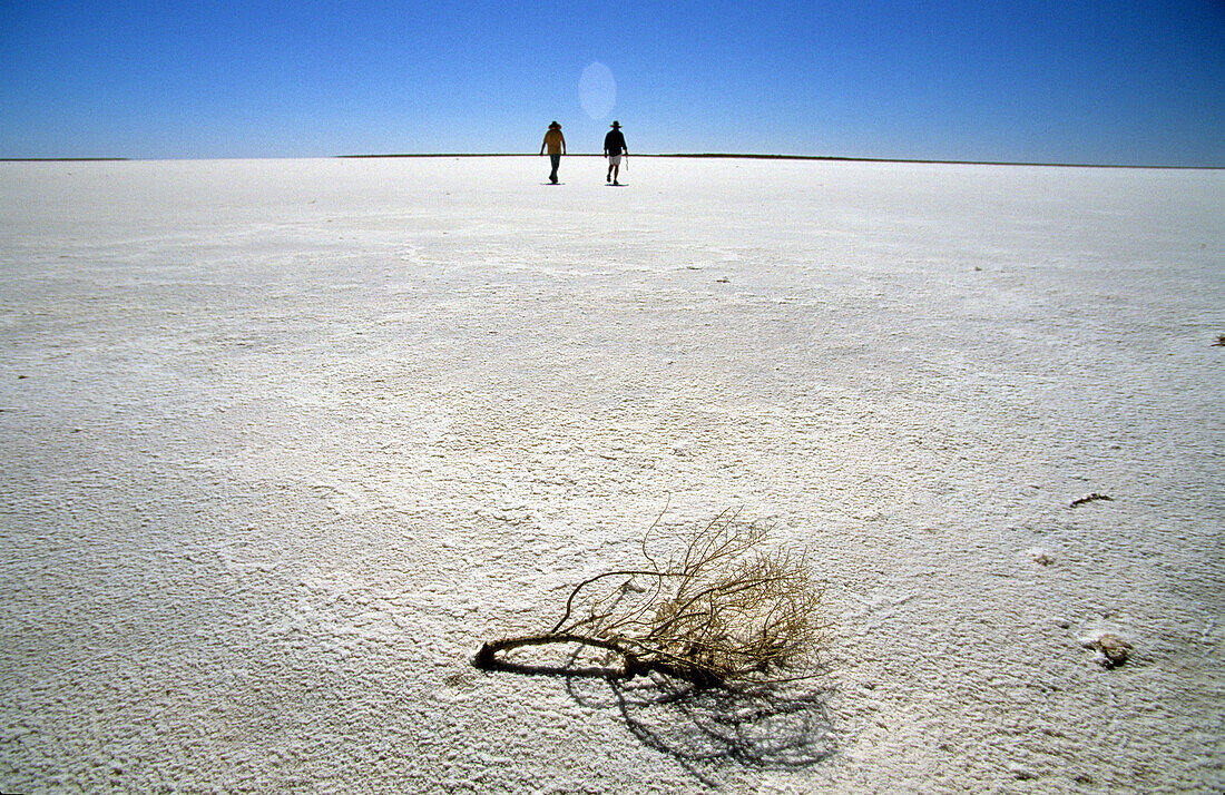 Die Salzfläche der südlichen Lake Eyre, Südaustralien, Australien
