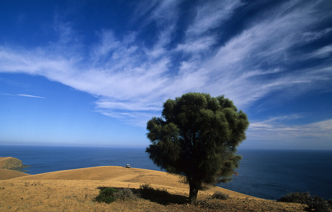 Die Nordküste nahe Cape Cassini, Kangaroo Island, Südaustralien, Südaustralien