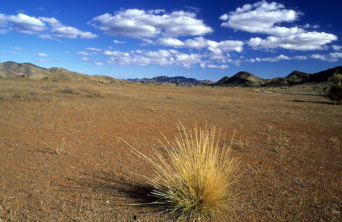 Desert landscape near Glass Gorge, Flinders Ranges, South Australia, Australia