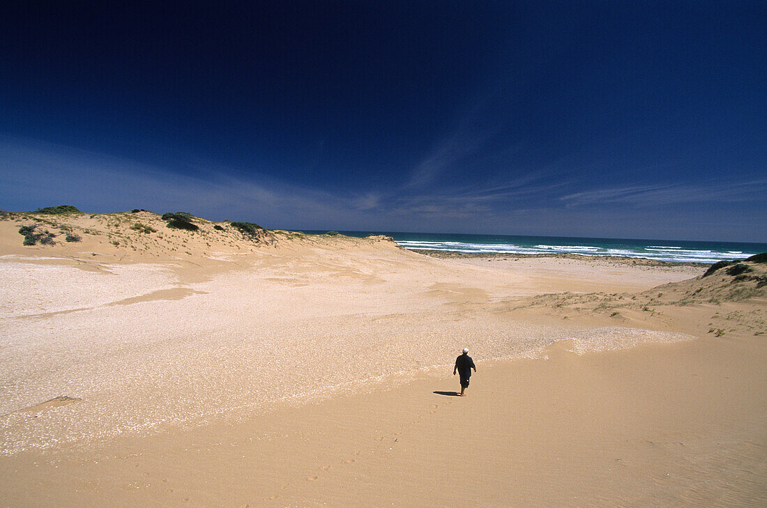 coast along the Younghusband Peninsula, Coorong National Park, South Australia, Australia