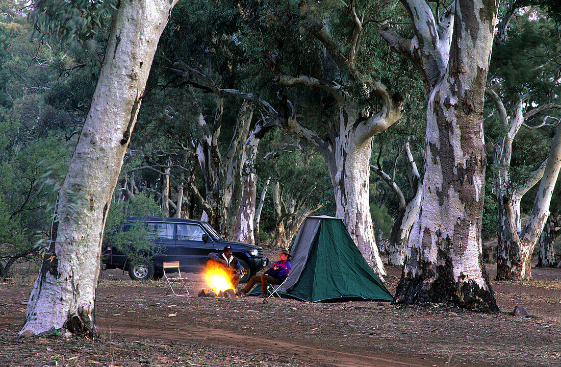 Camp unter Flusseukalypten im Aroona Valley, Flinders Ranges, Südaustralien, Australien