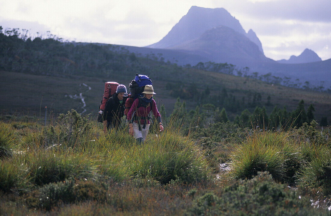 Two hikers walking along the Overland Track, Barn Bluff in the Background, Tasmania, Australia
