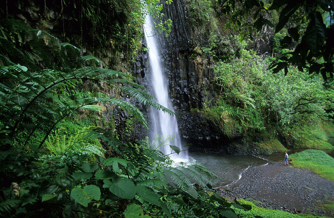 Vaiharuru Falls in Papanoo Valley, Cascade Vaiharuru in Vallee de Papanoo, Tahiti, French Polynesia, South Sea