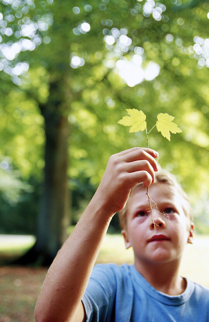 -haired, Hold, Holding, Human, Infantile, Kid, Kids, Leaf, Leaves, Leisure, Look, Looking, Male, Natu