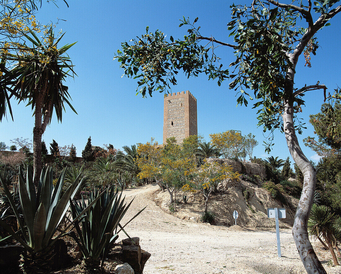 Spain, Andalusia, Velez-Malaga, Alcazaba, moorish fortress