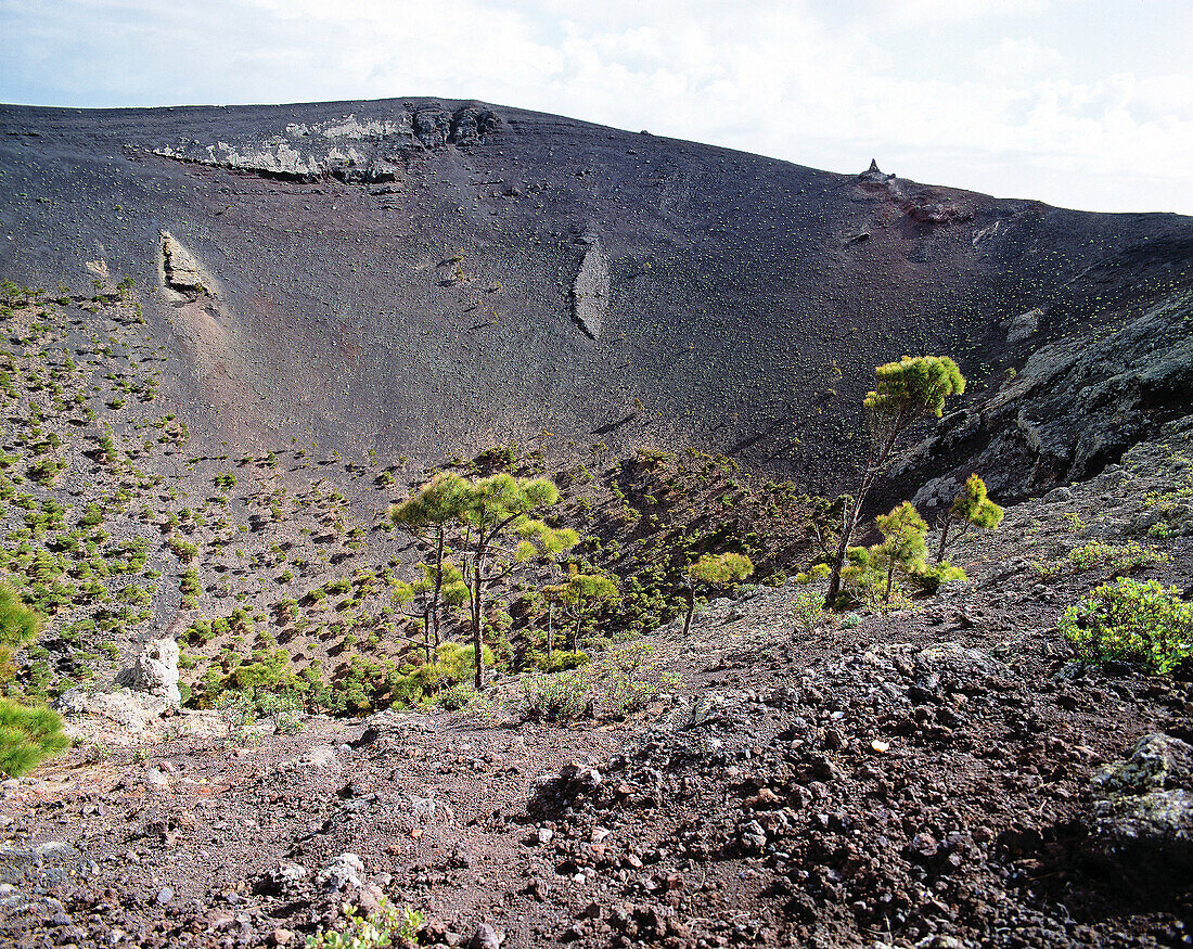 Spain, Canary Islands, La Palma, Fuencaliente, San Antonio volcano, crater, volcanic ashes, stone pines