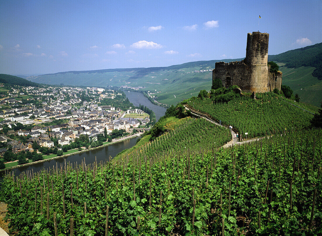 Germany, Bernkastel-Kues, Moselle, Rhineland-Palatinate, Landshut Castle, Moselle landscape, vineyards, wine growing area