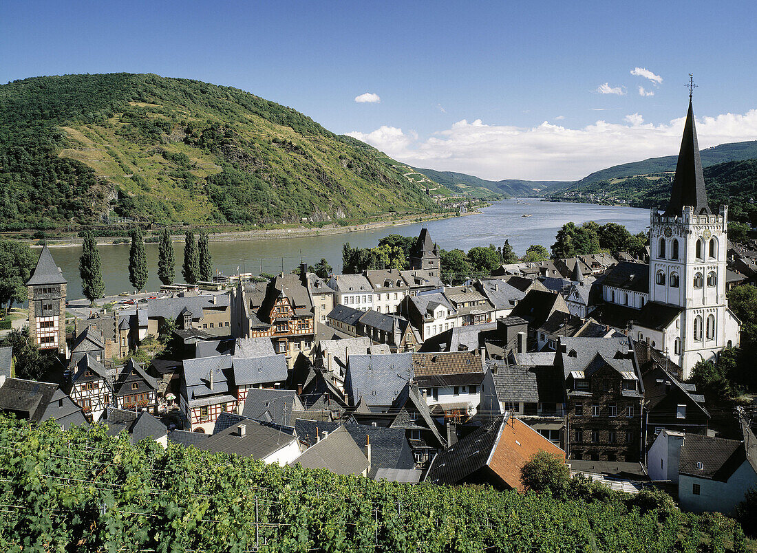 Germany, Bacharach, Rhine, Rhineland-Palatinate, Rhine landscape, city view, vineyards