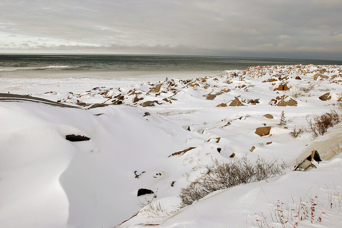 Hudson Bay beginning to freeze over in early November. Churchill, Manitoba, Canada.