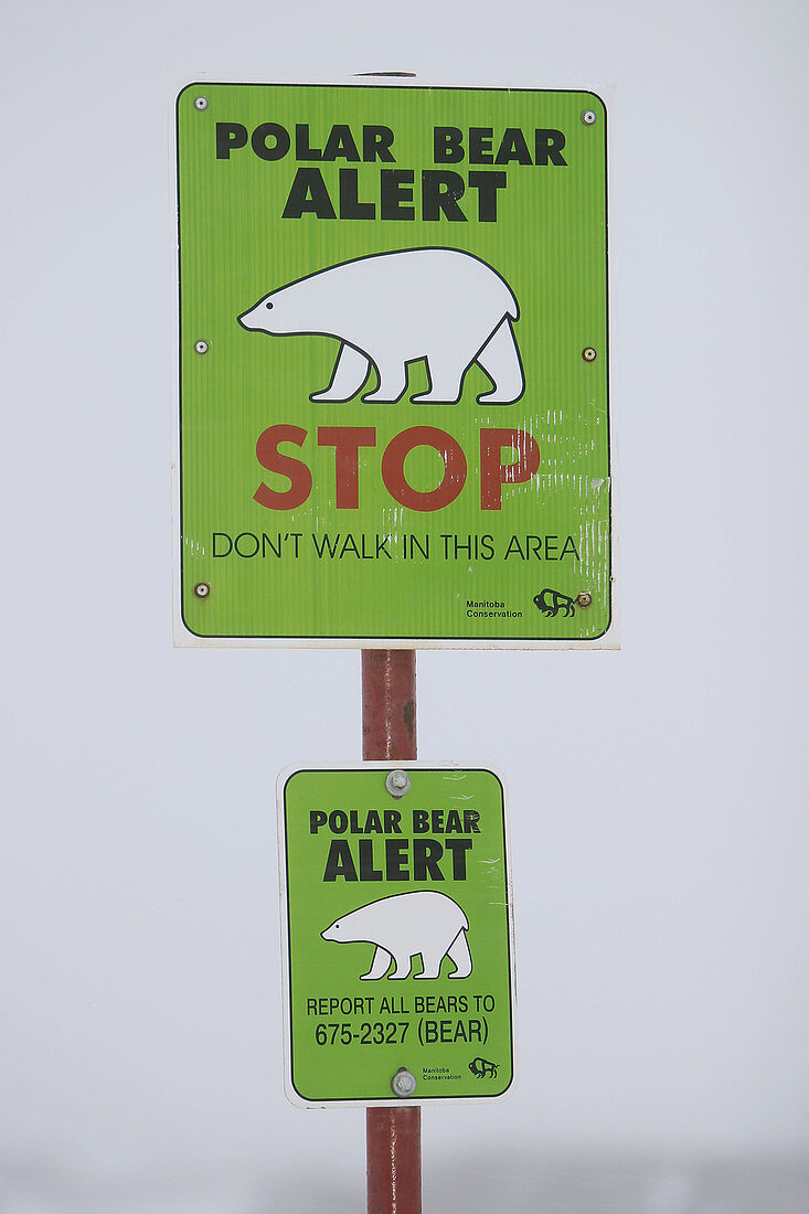 Polar Bear alert sign outside Churchill, Manitoba, Canada.