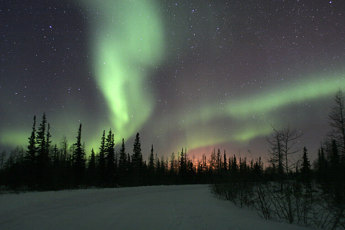 The Northern Lights (Aurora Borealis) in late winter. Churchill, Manitoba, Canada.