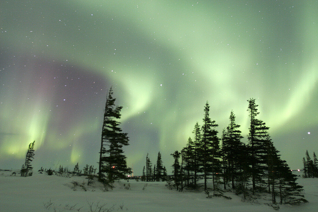 The Northern Lights (Aurora Borealis) in late winter. Churchill, Manitoba, Canada.