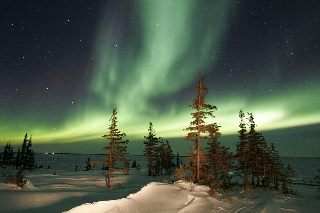 The Northern Lights (Aurora Borealis) in late winter. Churchill, Manitoba, Canada.