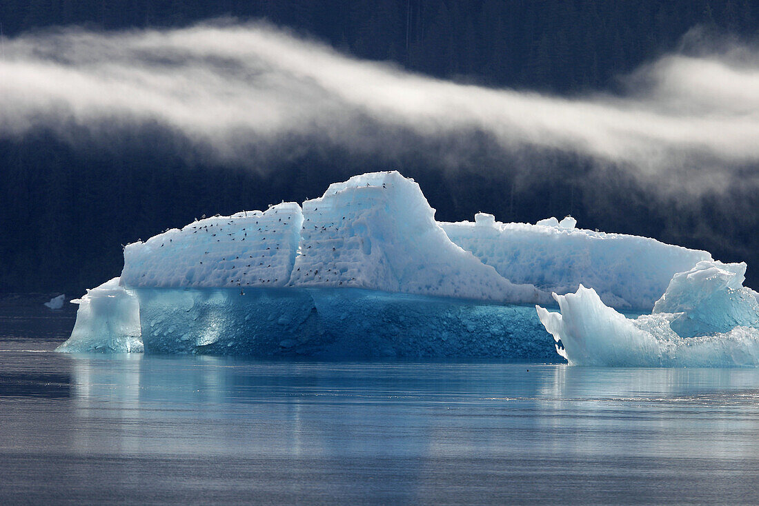 Icebergs and bergy bits that have calved off the Sawyer tidewater Glacier in Tracy Arm, Southeast Alaska, USA.