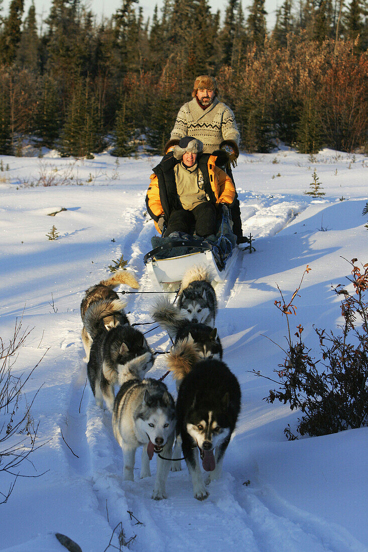 Dave Daily and Gerald Azure dog mushing just outside Churchill, Manitoba, Canada.