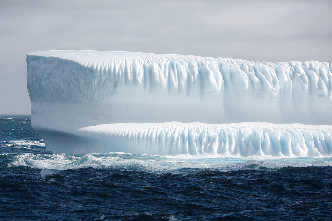 Icebergs adrift in Antarctica
