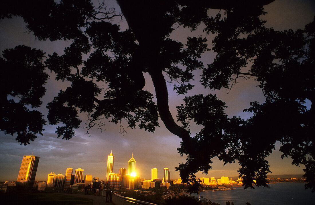 Perth Skyline, view to the city from Kings Park, Perth, Western Australia, Australia