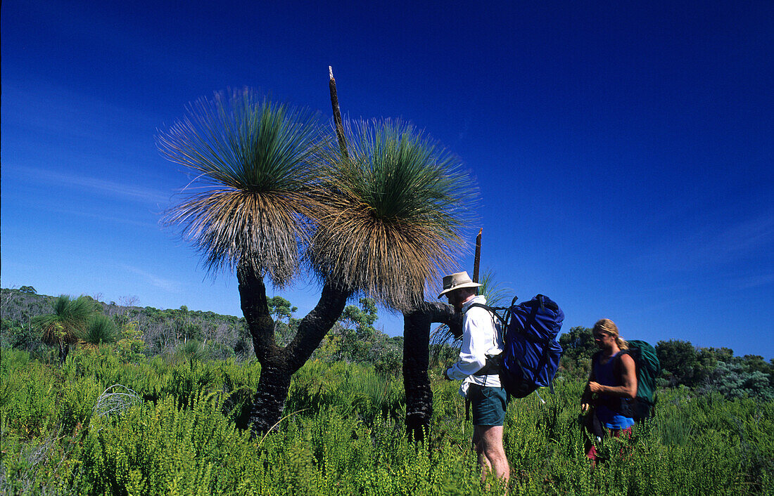 Two hikers looking at a grasstree, Leeuwin-Naturaliste National Park, grasstrees along the Cape to Cape Walk, Western Austalia
