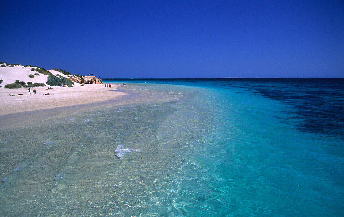 Strand bei Carol Bay am Ningaloo Reef, Westaustralien, Australien