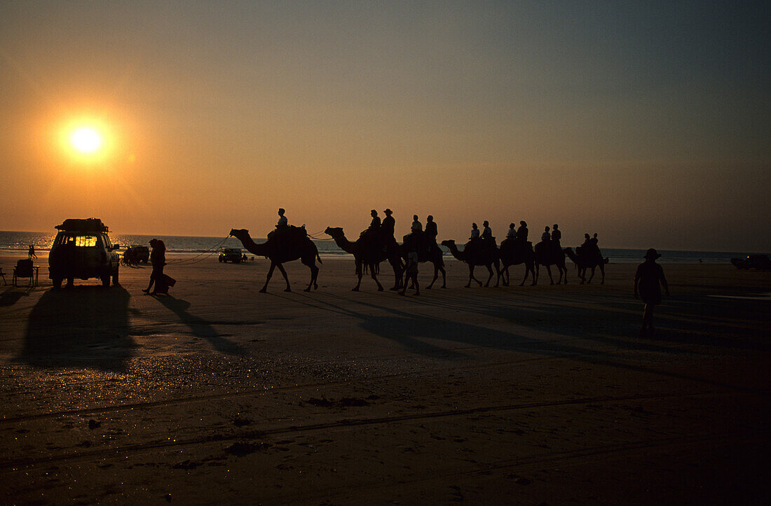 People riding camels on the famous Cable Beach at sunset, Broome, Western Australia, Australia
