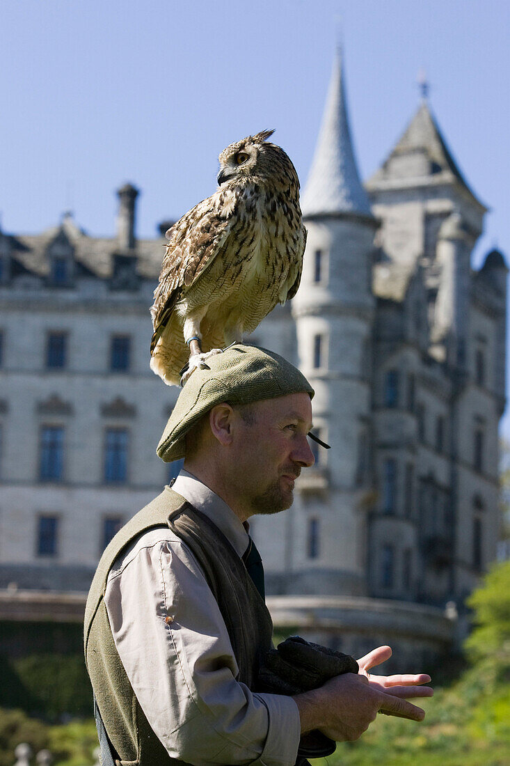 Eine Eule, ein Bengalischer Uhu, Bubo begalensis, sitzt auf dem Kopf eines Mannes, eines Falkners, Dunrobin Castle, Schloss in Schottland,  Schottland, Großbritannien, MR