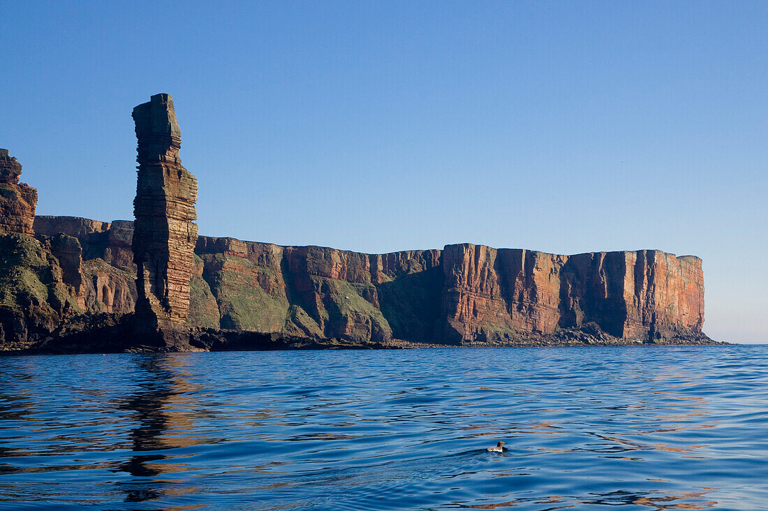 The rock tower, column, Old Man of Hoy, on the coast of the Island Hoy, Orkney Islands, Scotland, Great Britain