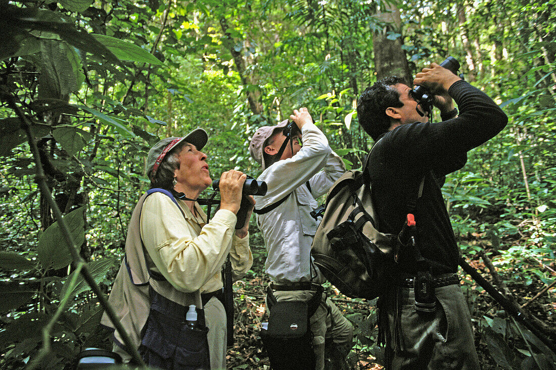 Birdwatching near Boquete rainforest. Panama