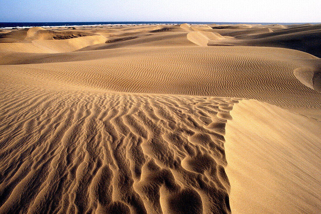 Maspalomas dunes. Gran Canaria, Canary Islands. Spain