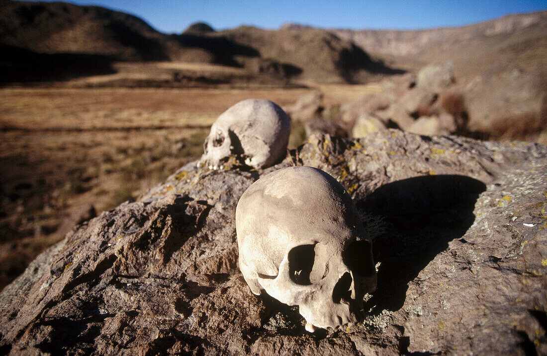 Skulls of Collaguas. Colca Valley. Peru