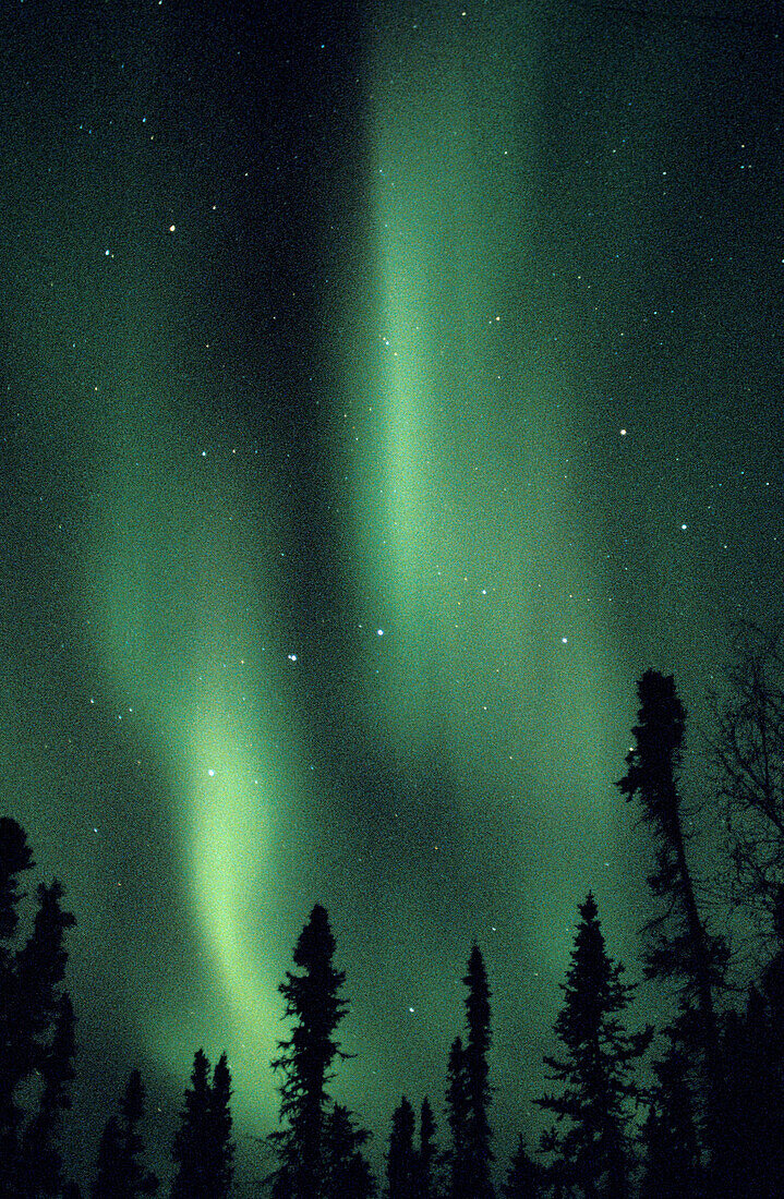 Aurora Borealis or Nothern Lights. Denali. Alaska. USA