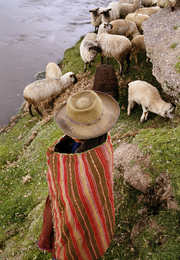 Sheepherd, Apurimac river (Amazon river). Peru