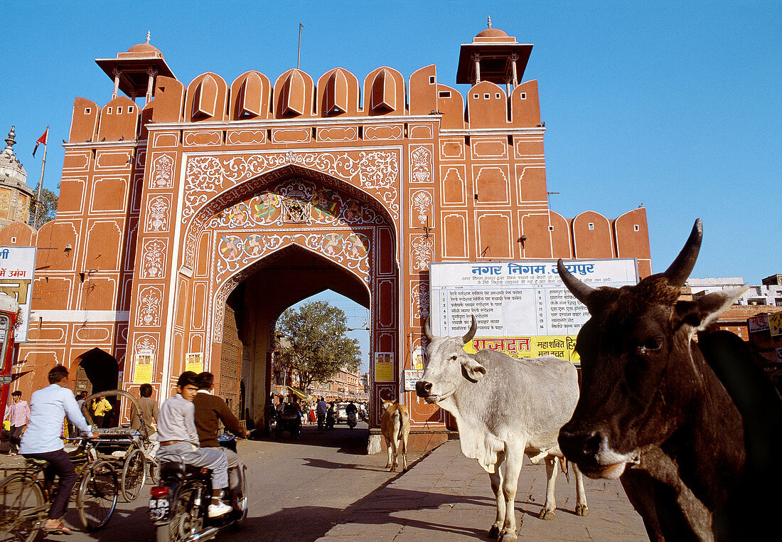 Gate, walled. Old city (Pink City). Jaipur. Rajasthan. India