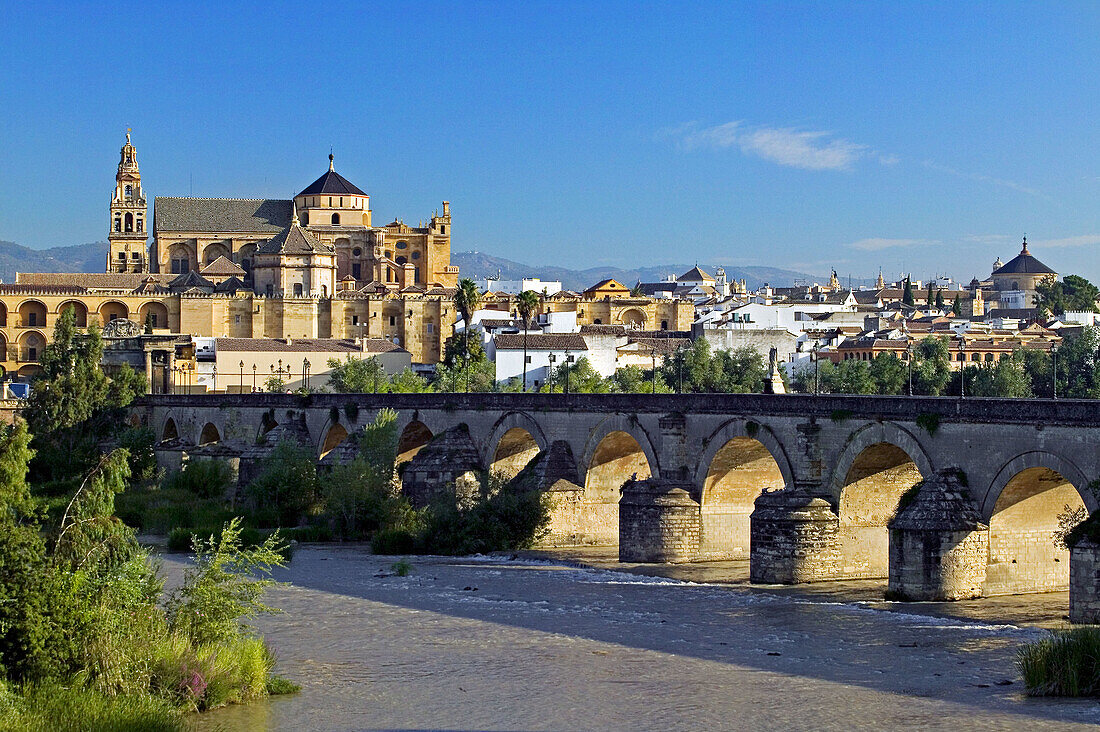 Roman bridge over Guadalquivir river with Great Mosque in background. Cordoba. Andalusia, Spain