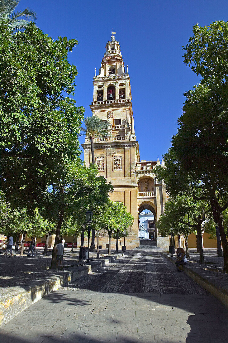 Minaret tower of the Great Mosque, Córdoba. Andalusia, Spain