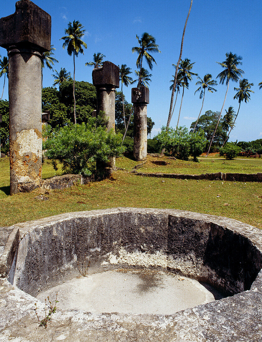 Maruhubi Palace Ruins, built by the then Sultan Seyyid Barghas to house his harem, dated back in 1800 s. Zanzibar Island, Tanzania