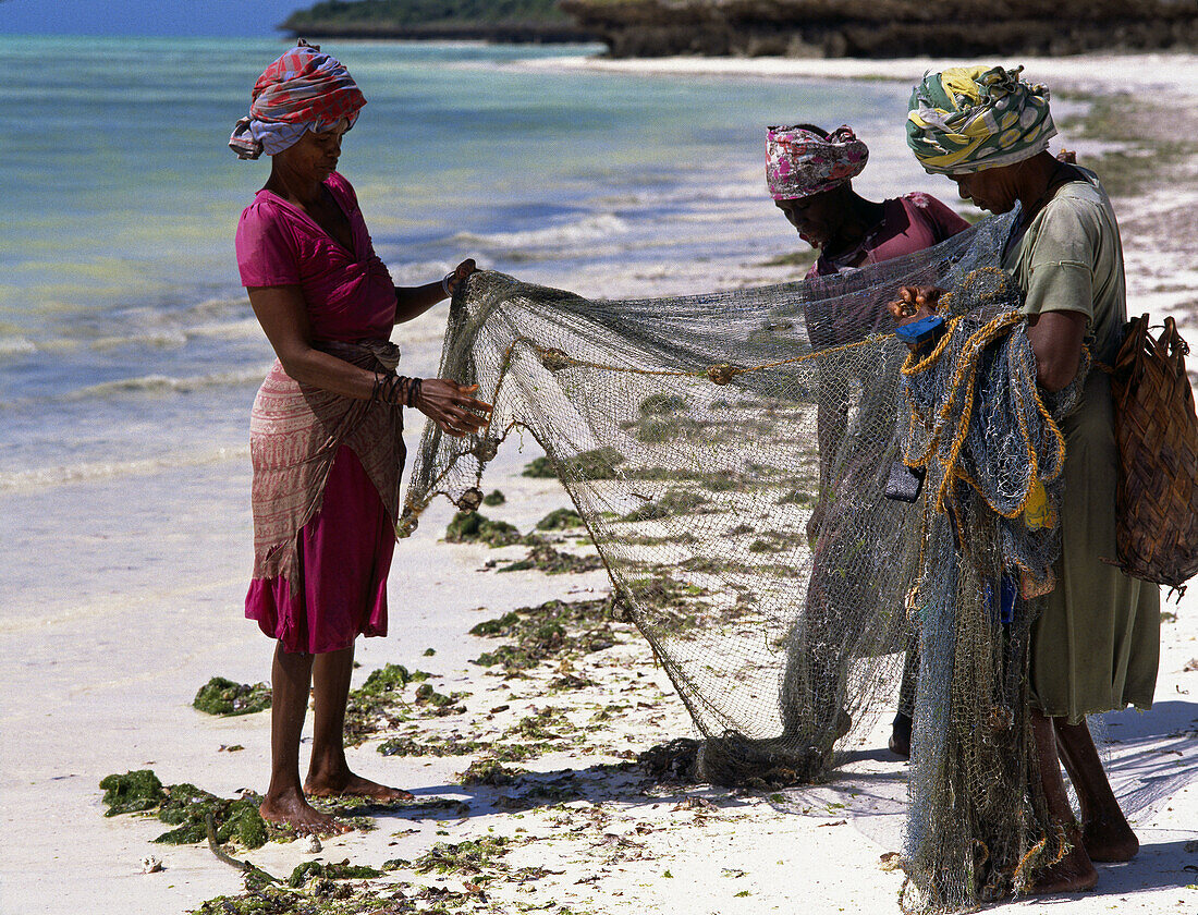 Women fishing, Jambiani beach. Zanzibar Island. Tanzania