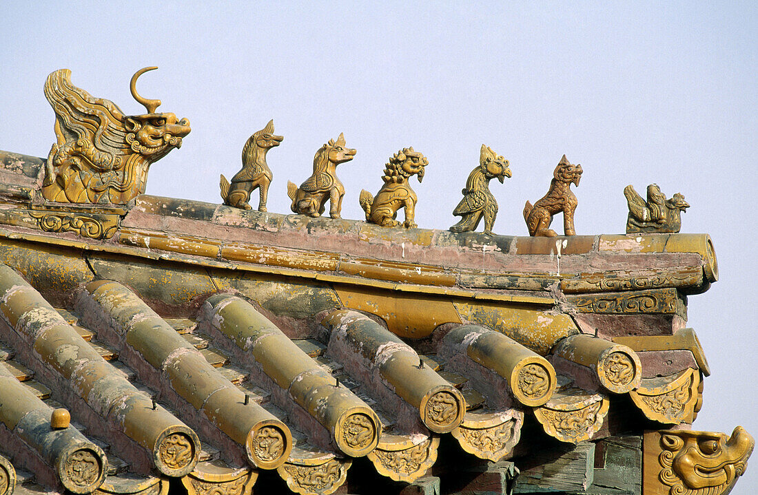 Detail of the roofs in the Forbidden City, Beijing. China