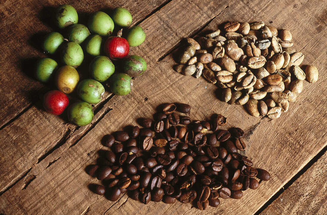 Fresh and roast coffee beans. Grenada