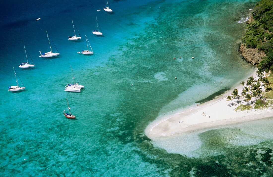 Tobago Cays, Saint Vincent and the Grenadines