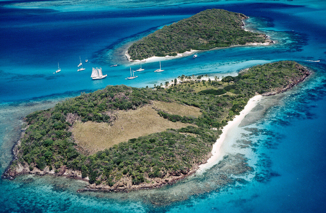 Tobago Cays, Saint Vincent and the Grenadines