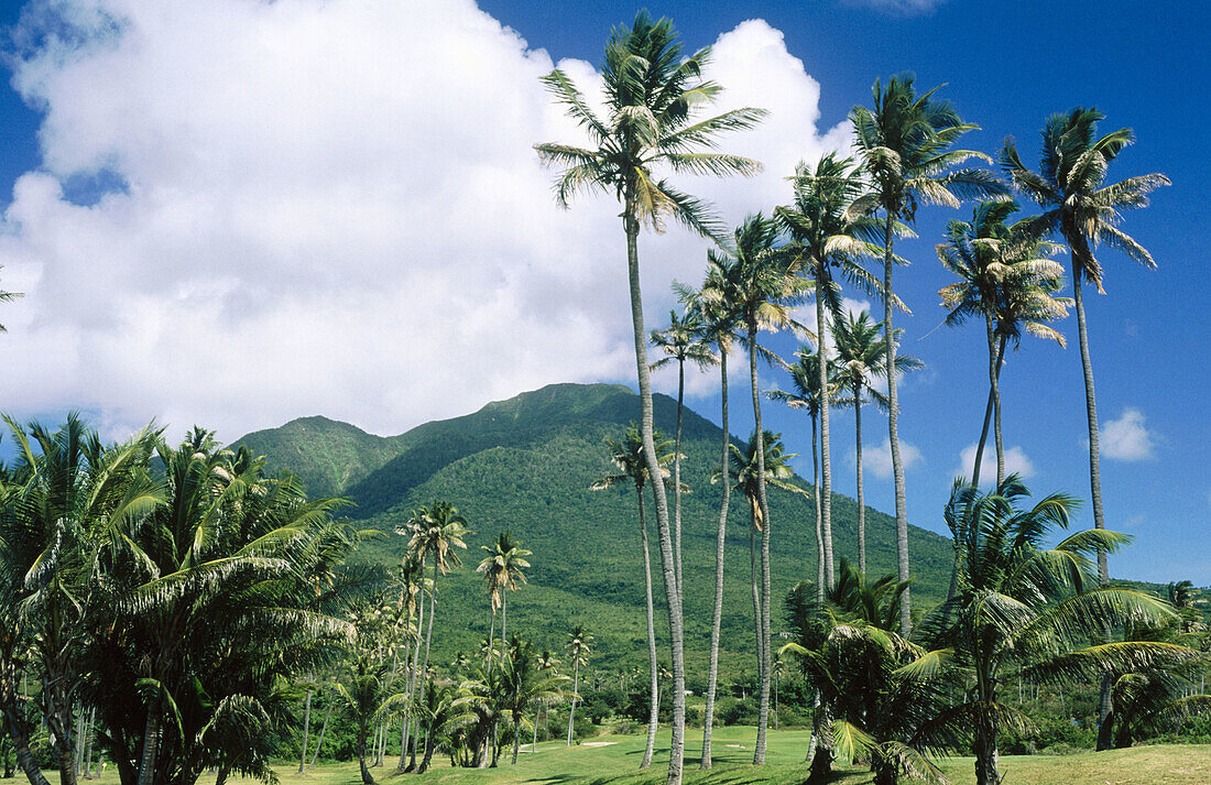 Nevis Peak (985 m.), Nevis. St. Kitts and Nevis